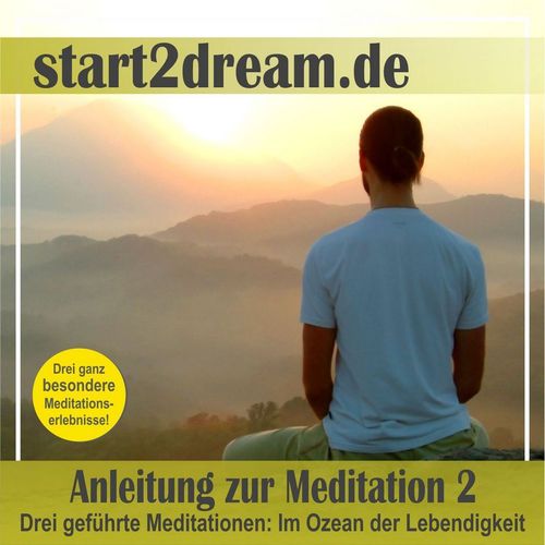 Anleitung zur Meditation 2. Drei geführte Meditationen: Im Ozean der Lebendigkeit